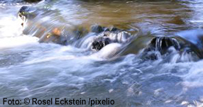 1-549752_original_R_K_B_by_Rosel Eckstein_pixelio.de(1)1 1-549752_original_R_K_B_by_Rosel Eckstein_pixelio.de(1)1