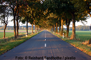 223765_original_R_K_B_by_Reinhard Sandbothe_pixelio.de(1)