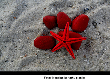 456248_original_R_K_by_sabine koriath_pixelio.de