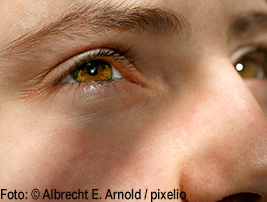 456492_original_R_K_B_by_Albrecht E. Arnold_pixelio.de1