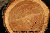 521993_original_R_K_by_Peter Bauer_pixelio.de(1) 521993_original_R_K_by_Peter Bauer_pixelio.de(1)