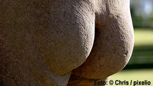 563879_original_R_K_B_by_Chris_pixelio.de